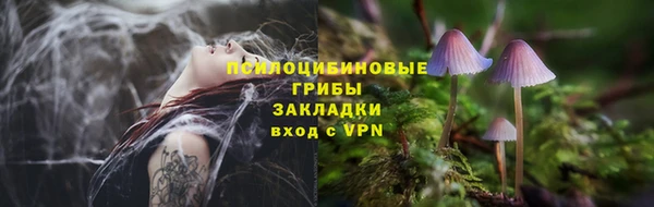 МДПВ Елизово