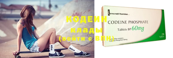 МДПВ Елизово
